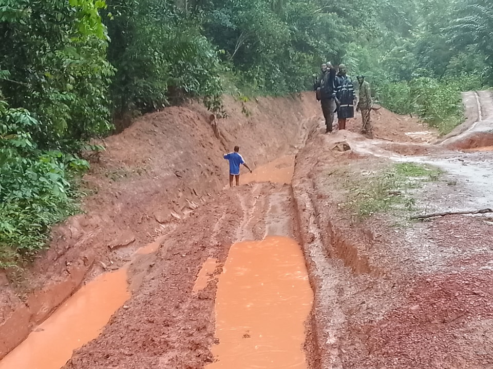 577020067 1416597510475386 8280356141263091449 n