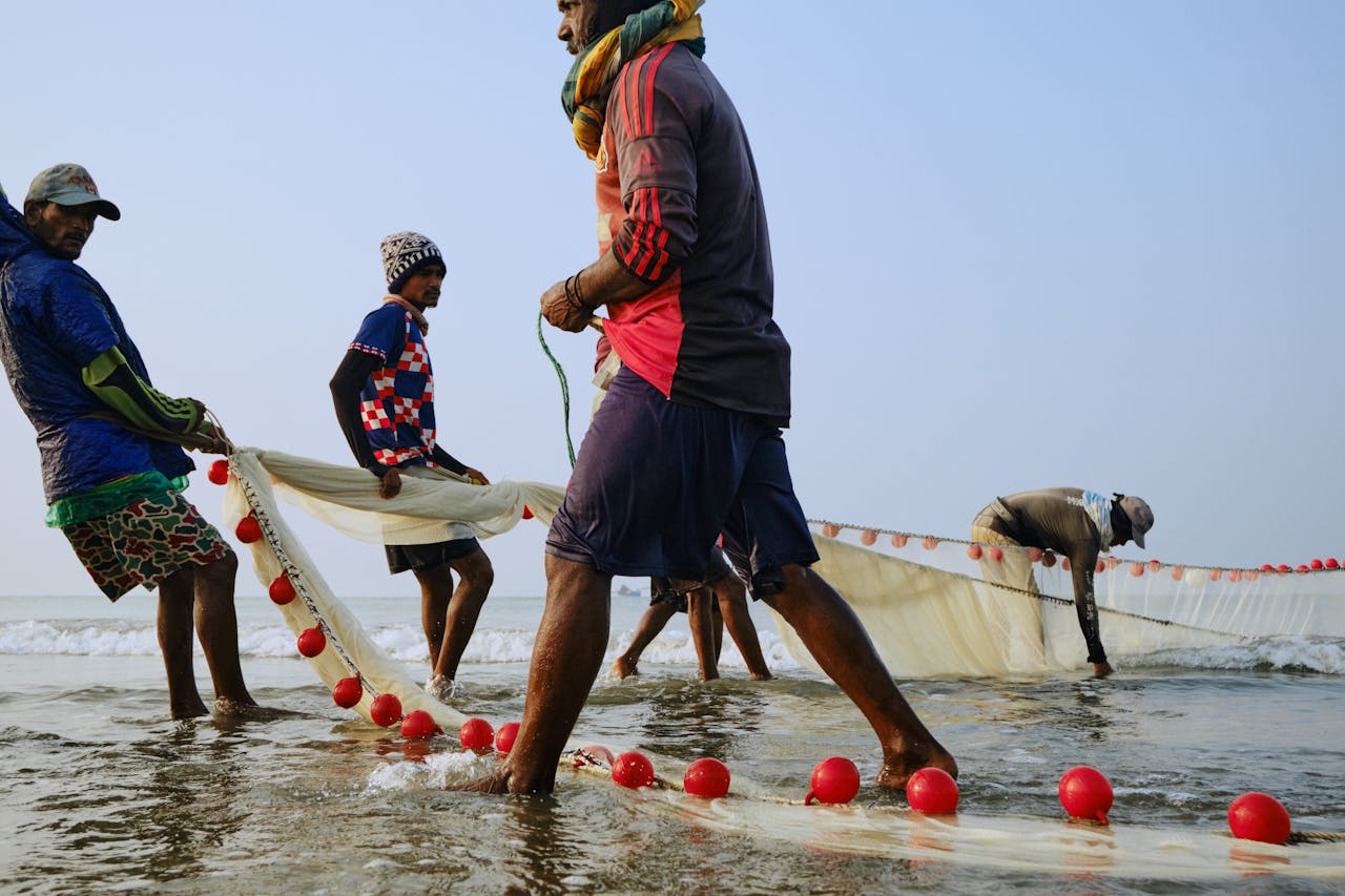 Free stock photo of bangladesh, beach, fisherman